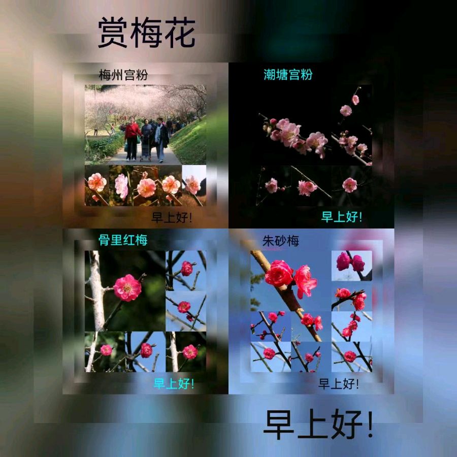 联机全球发布马洪武作品欣赏（图212）