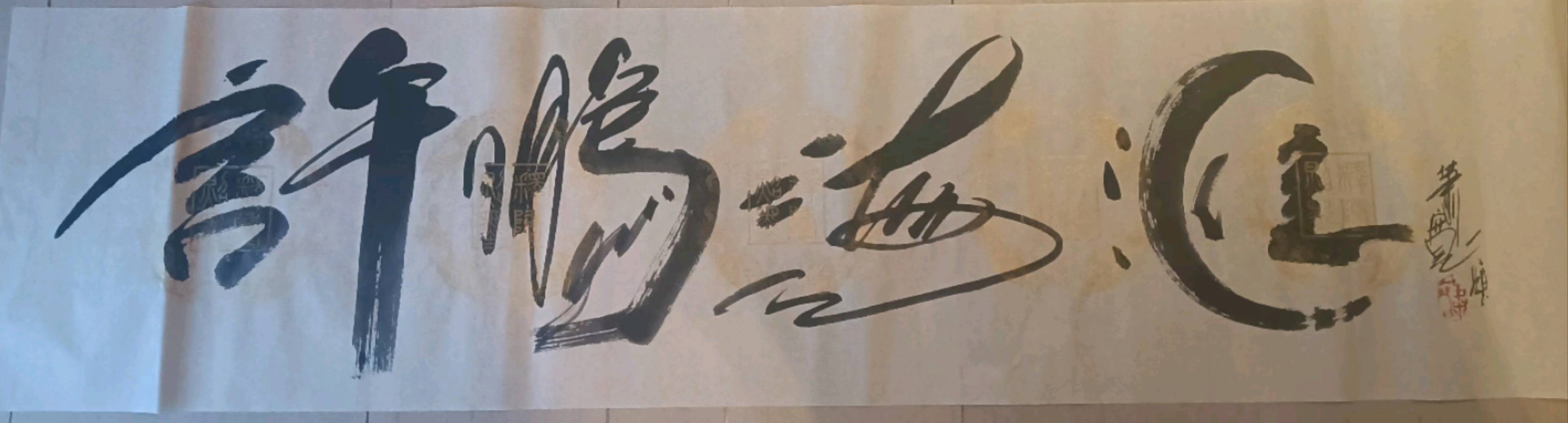 随记579：三亚拜访百变鬼才萧宽老师（图6）