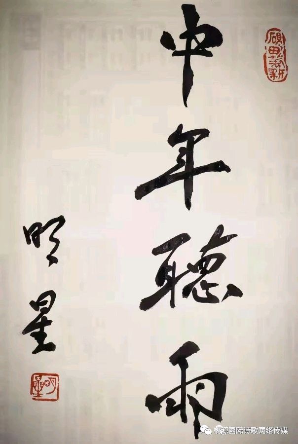 《一块石头》作者:田间布衣【主播:青苗】【桃源国际诗歌文化传媒】用声音传递温暖以诵读致敬人生♬（图2）