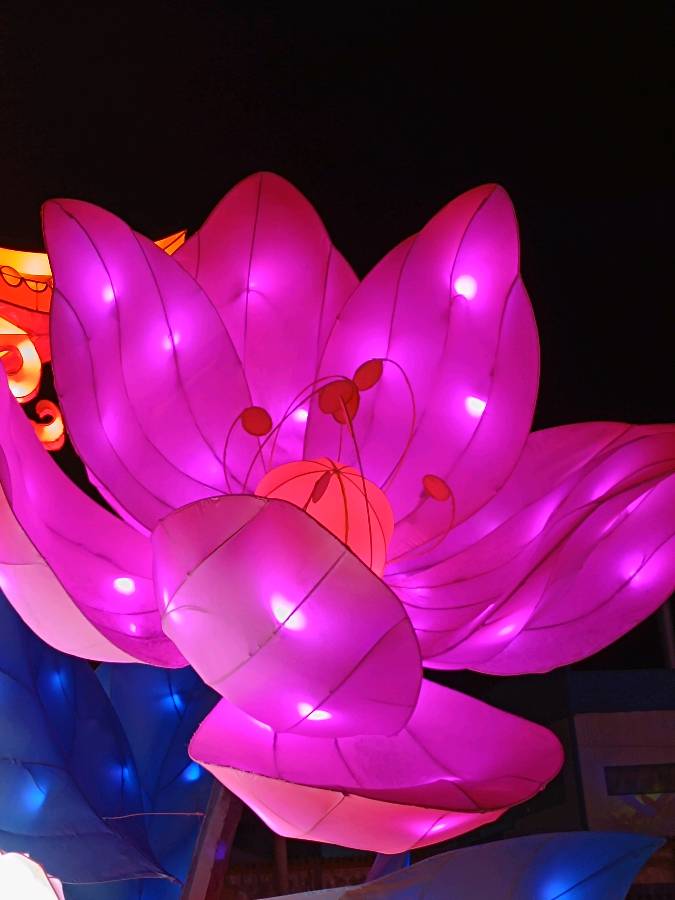 倒盏村神都灯宴 原作/梁立锋（图16）