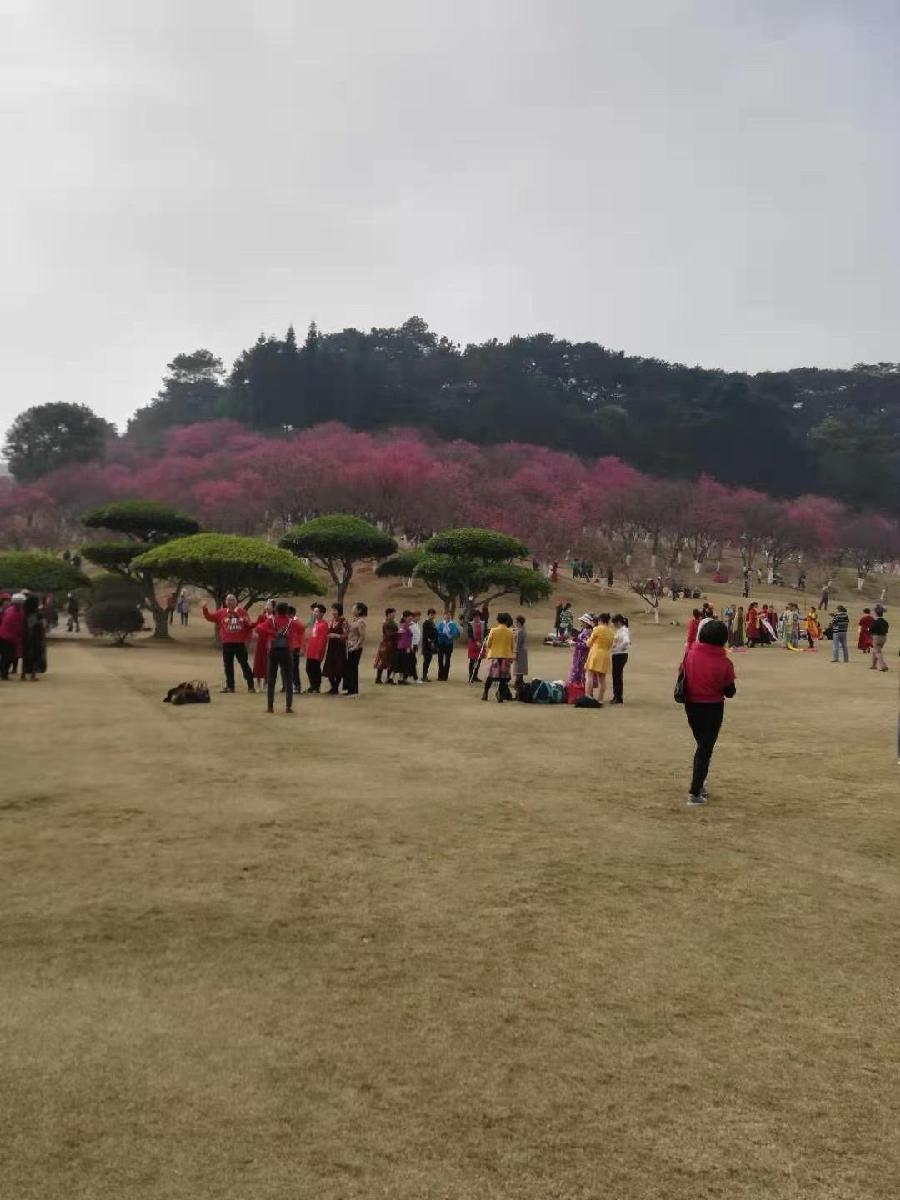 早春（图7）