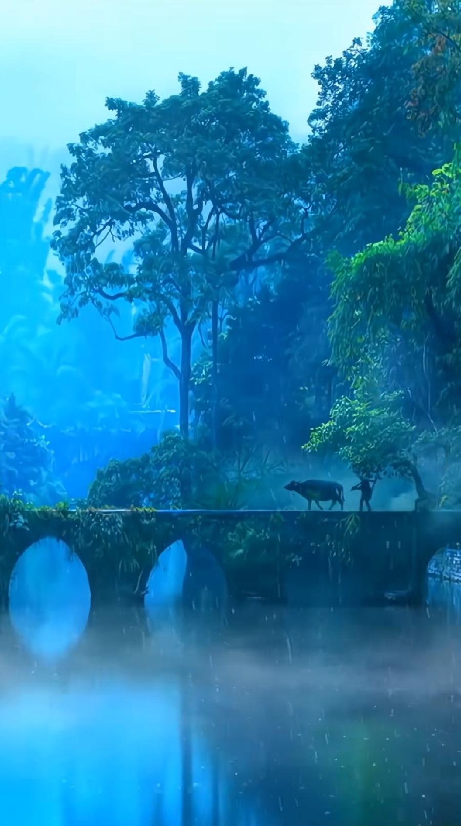 生活情趣（组合）诗||一农（图15）