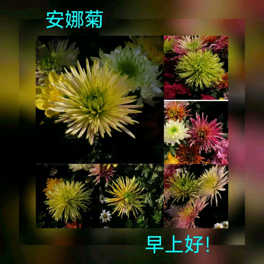 联机全球发布马洪武作品欣赏（图210）