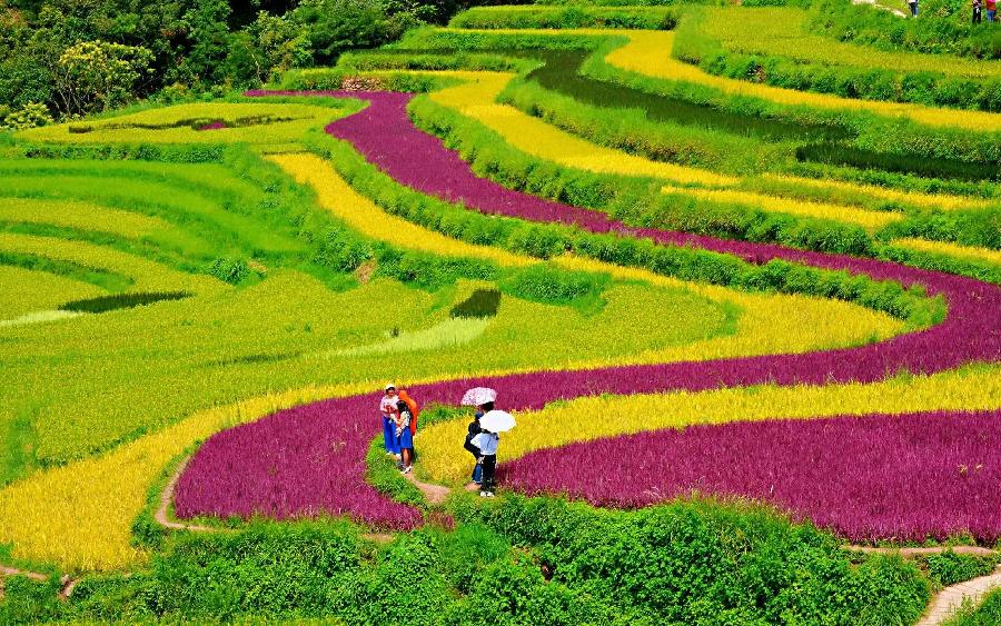 生活情趣（组合）诗||一农（图14）