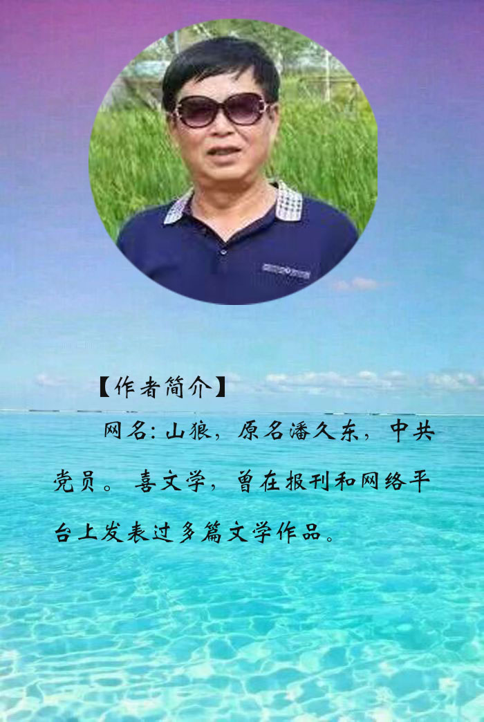 中华诗艺社【黑龙江分社】微刊第336期(初四专刊)2.13（图28）