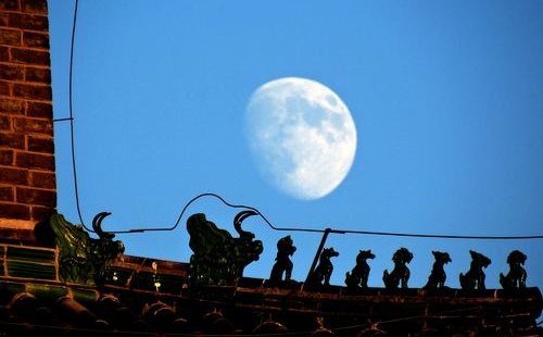 母亲的爱（组合）诗||一农（图12）