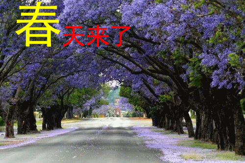 【经典推荐春韵情浓】鲁坡//破五接财神[新年作品展]（图6）