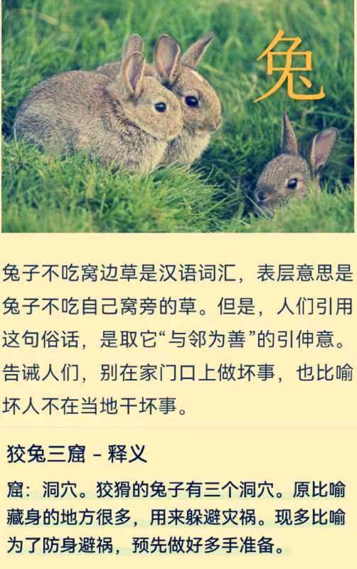 韩庚的《兔》