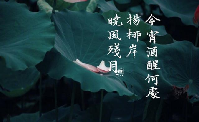 【新春感怀】廖万友老师//七律•诗酒（图7）