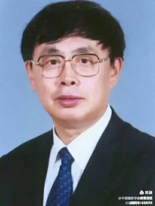中国楹联野草诗社甲辰贺岁专辑(正月十二专辑)(图9)
