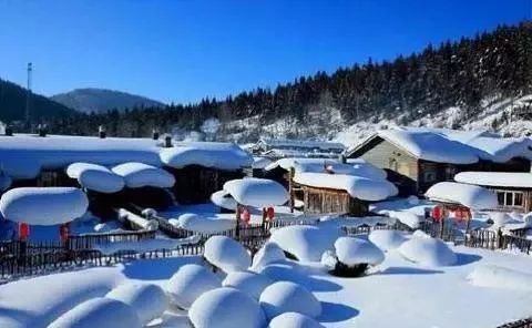 《冰情雪韵》作者/银杏 主播/沐子 主编/胡琴(图6)
