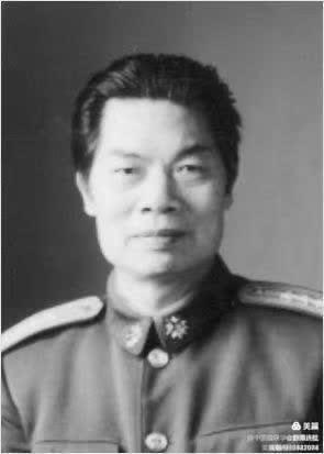 中国楹联野草诗社甲辰贺岁专辑(正月十二专辑)(图13)