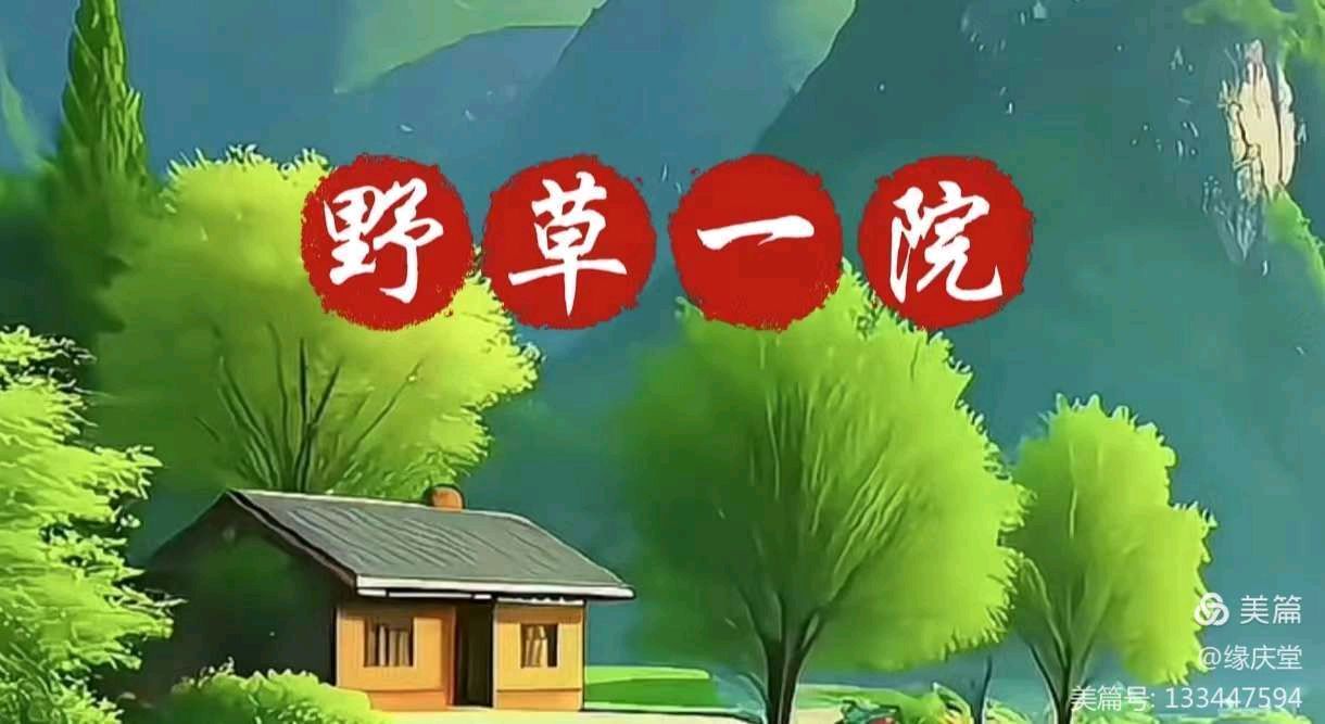 中国楹联野草诗社甲辰贺岁专辑(正月十二专辑)(图15)