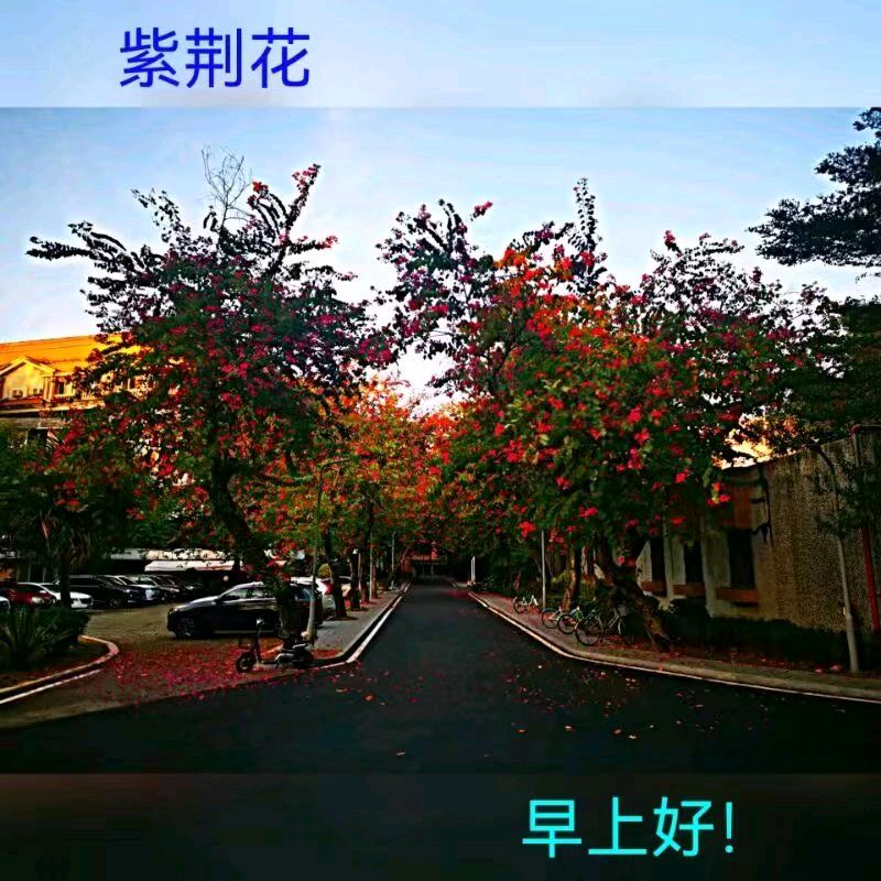联机全球发布马洪武作品欣赏（图206）