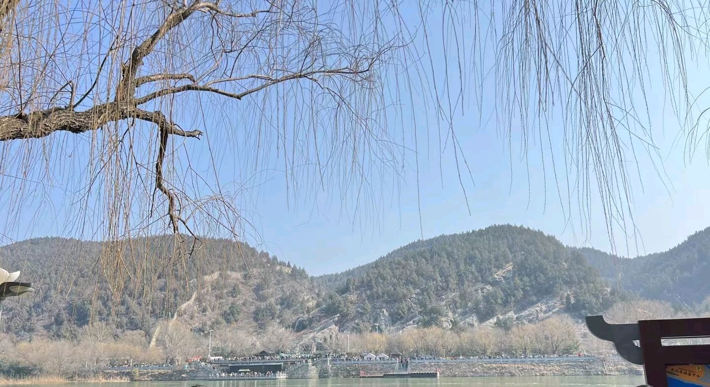 《谁把梦遗留在原地》