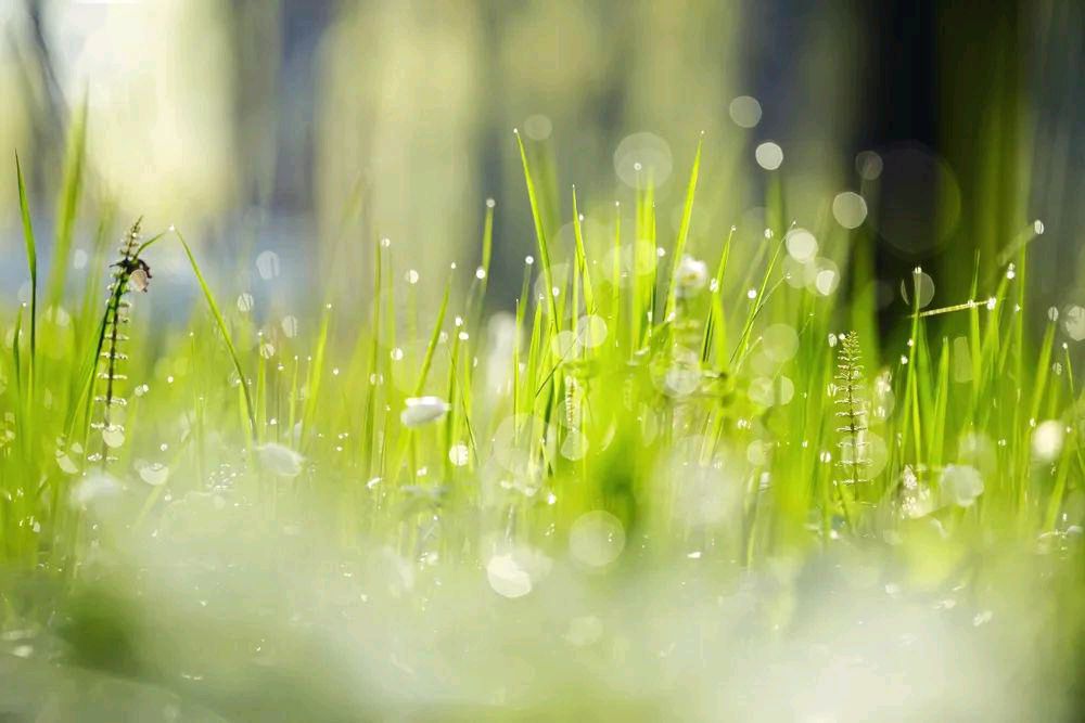 《春雨》文/雅斋（图3）