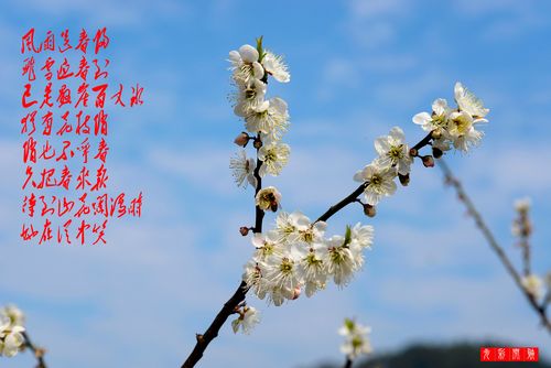 【重磅推出 新年放歌】李宝祥将军//三九严寒涌春潮（图7）
