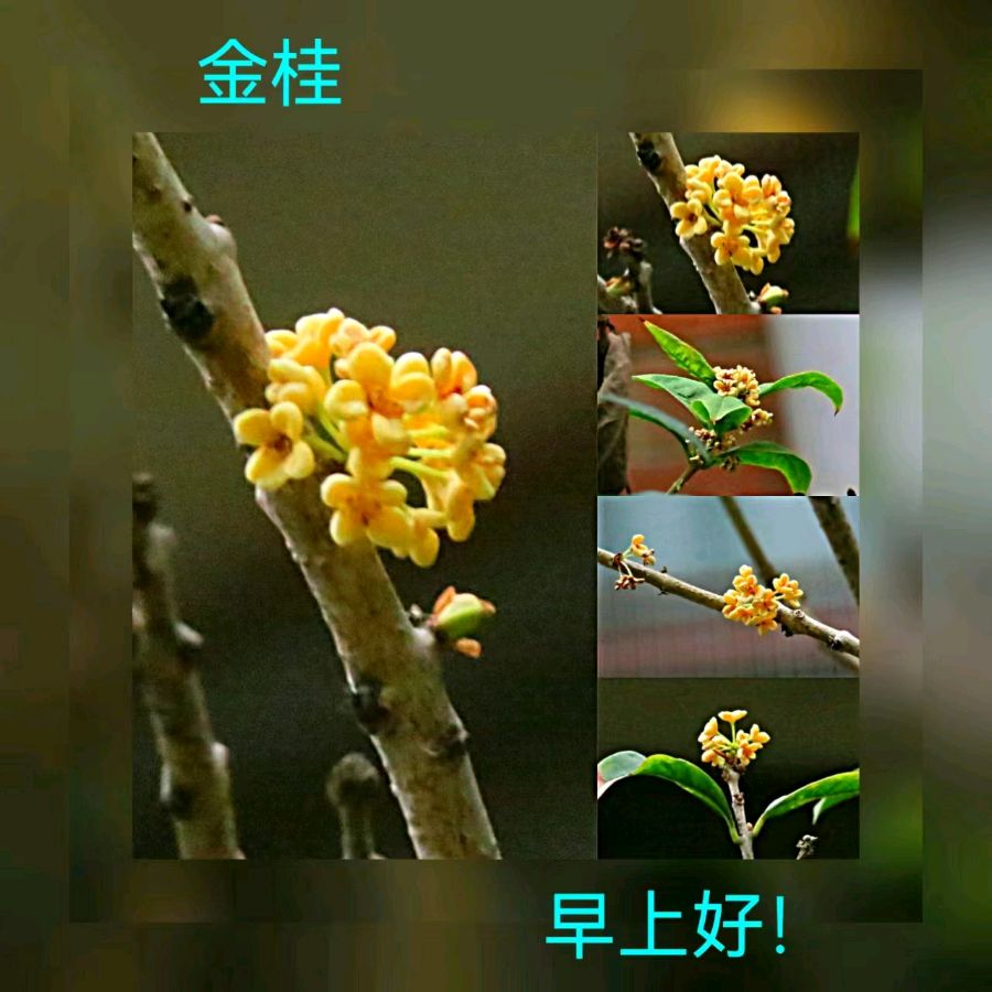 联机全球发布马洪武作品欣赏（图204）