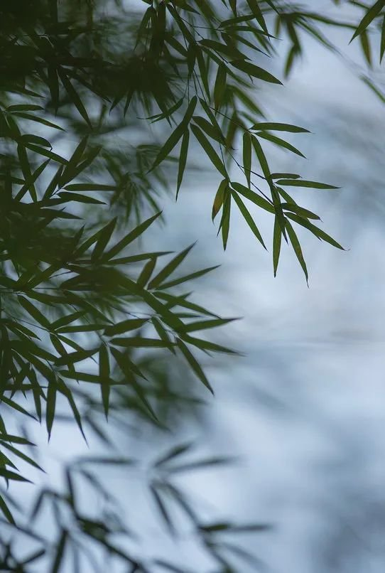 握笔忆长河（组合）诗||一农（图9）