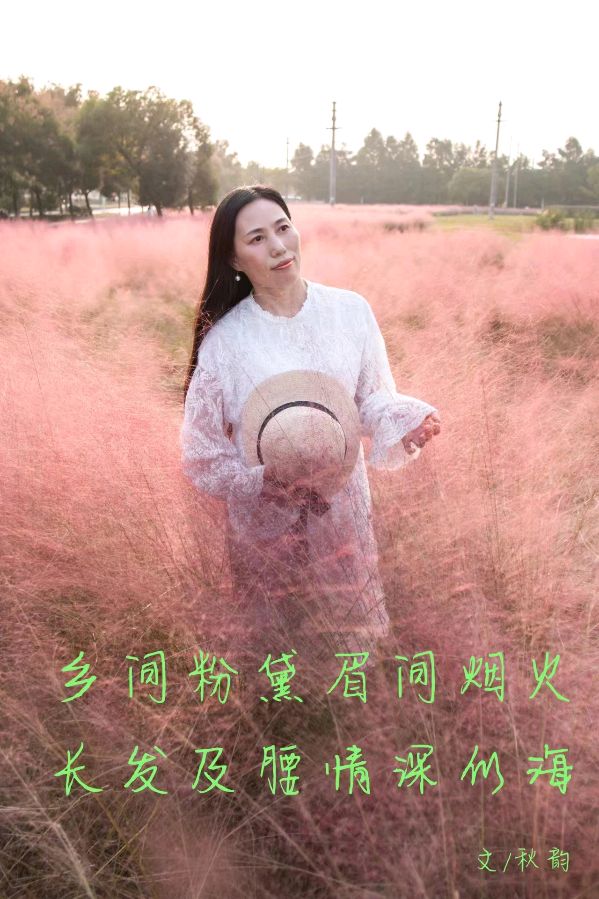 【名家风采】不如见一面//文图/秋韵//《黄河诗魂》征稿//都市头条（图6）