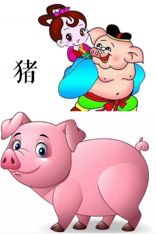 韩庚的《猪》