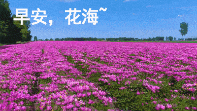 【重磅推出 迎春花开】鲁坡//梦里花开万山红[欣赏]（图7）