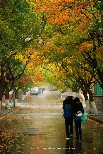 【自由体】《时光已老去》作者/郑金波（图3）