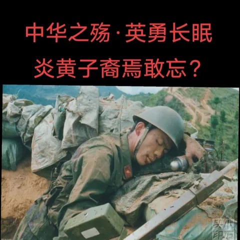 《九江文学社》《纪念对越自卫还击战四十五周年》【总第1995期】（图13）