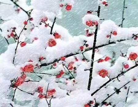 侯文香老师诗词欣赏