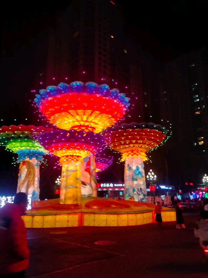 兰州西固迎春灯会即兴金夜（兰州）（图4）