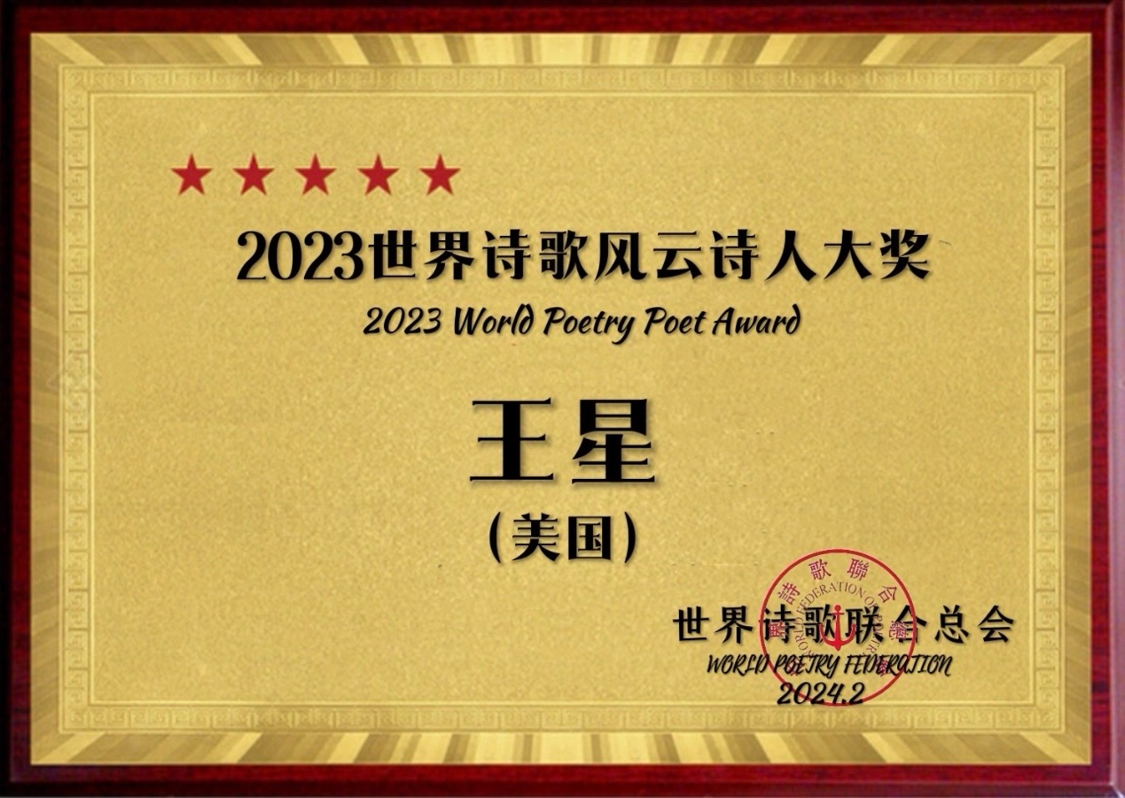 ㊗️2023世界诗歌风云诗人大奖（图40）