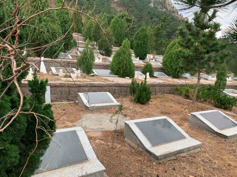 乞求爱情（外一首）文/书乐（图4）