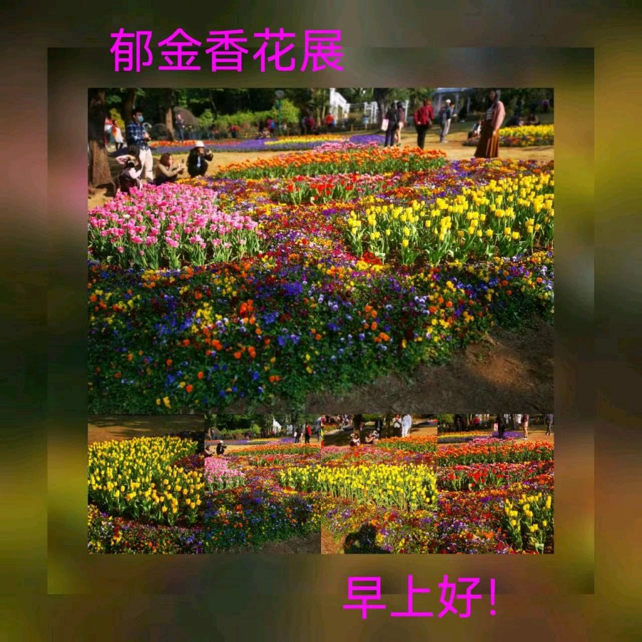 联机全球发布马洪武作品欣赏（图200）