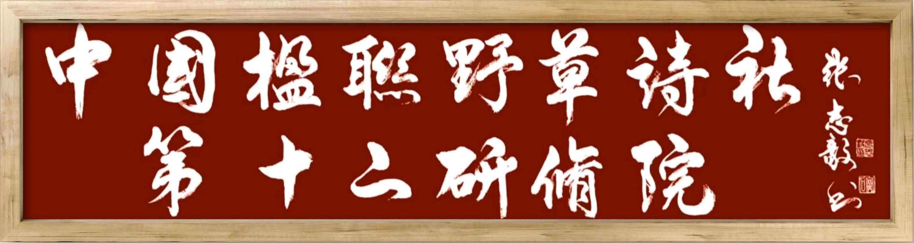 中国楹联野草诗社十二(江苏)研修院048期微刊《冰轮初上闹元宵》