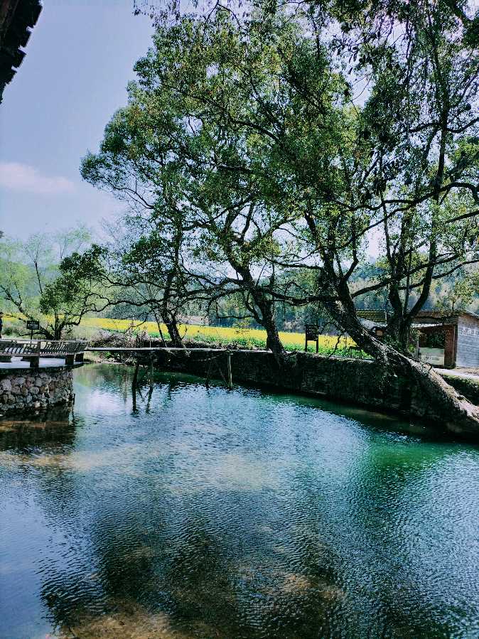 《九江文学社：北京头条》吉林优秀诗人张铁军诗歌欣赏《春回故乡》【总第1997期】（图3）