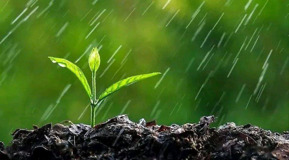 七绝 五首 雨水(克山)萧怀力（图5）