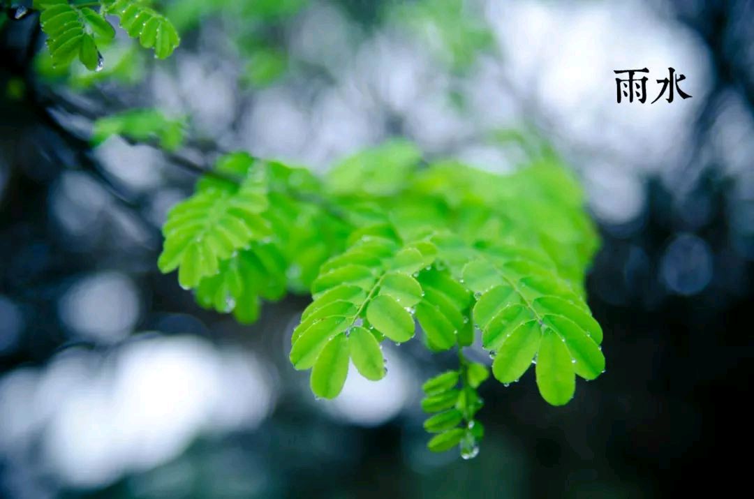 七绝 五首 雨水(克山)萧怀力（图4）