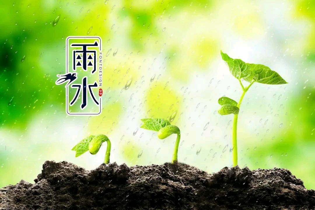 五律•雨水 文/张俊领（图3）