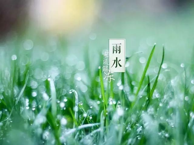 《雨水》文/雅斋（图3）