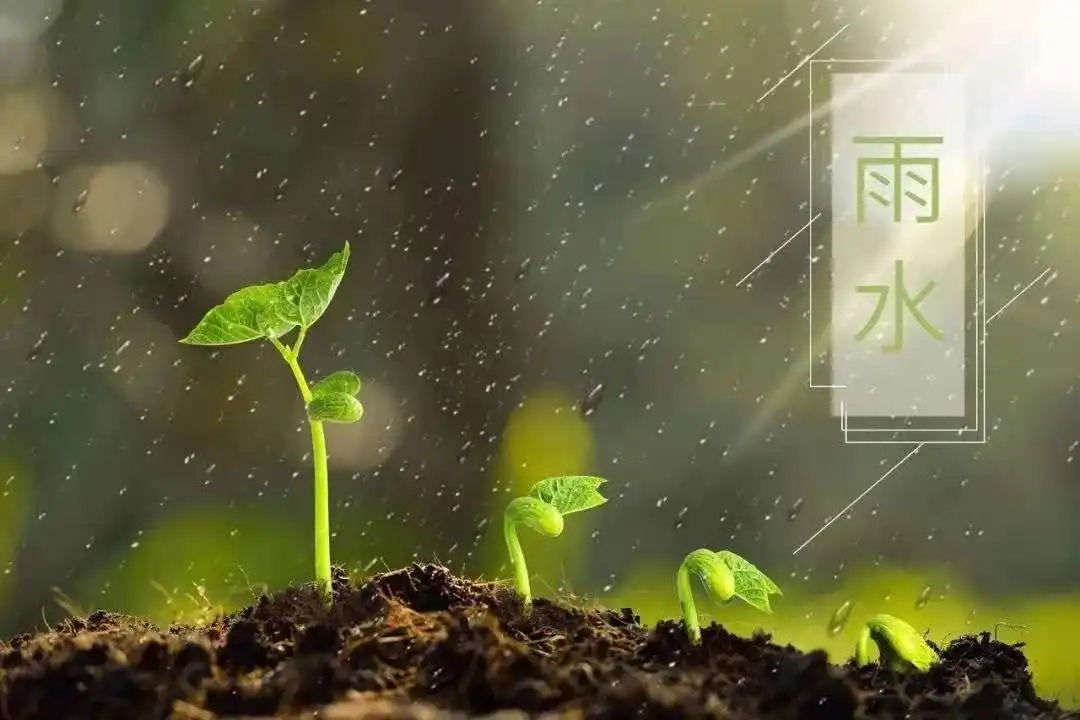 《〈雨水〉诗词辑》(诗友合集)8628期~新京都文艺(图2)