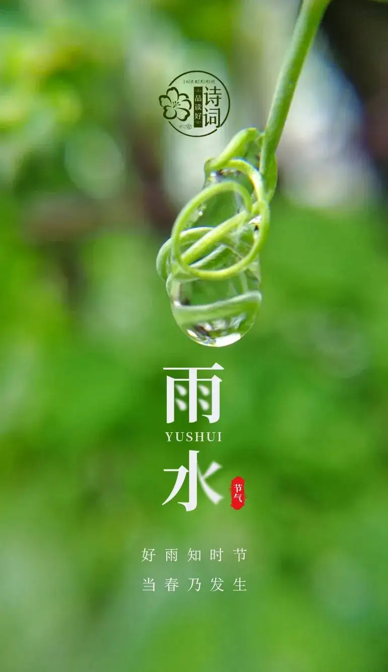 【荣耀中国】谢池春慢·雨水作者/盛魁（图2）