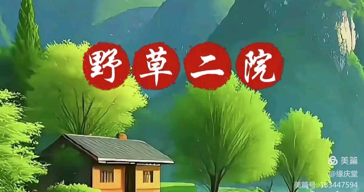 中国楹联野草诗社甲辰贺岁专辑(正月十二专辑)(图16)