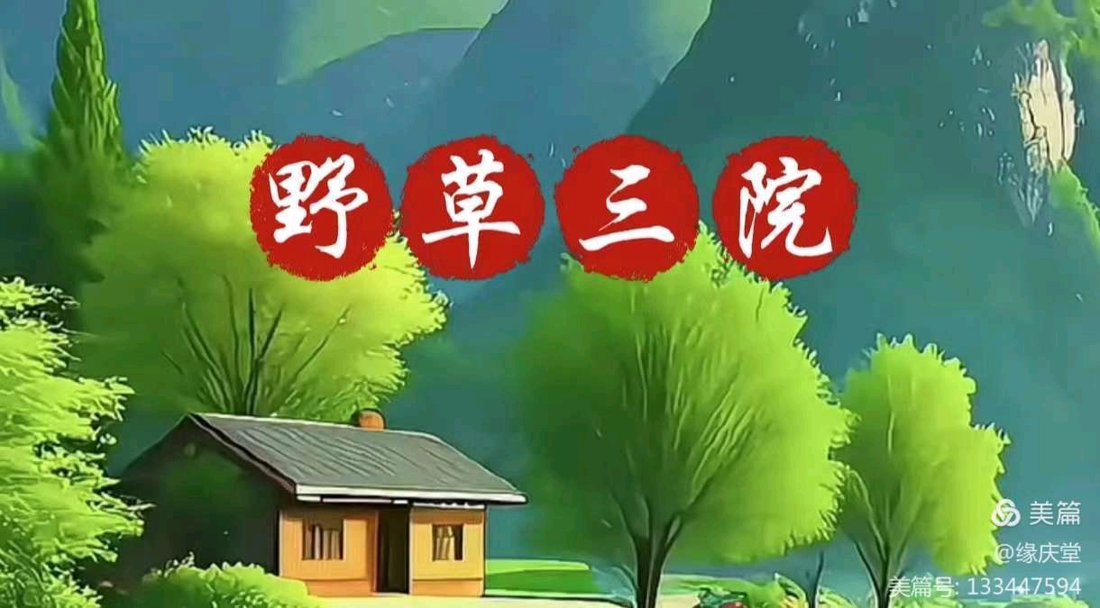中国楹联野草诗社甲辰贺岁专辑(正月十二专辑)(图17)
