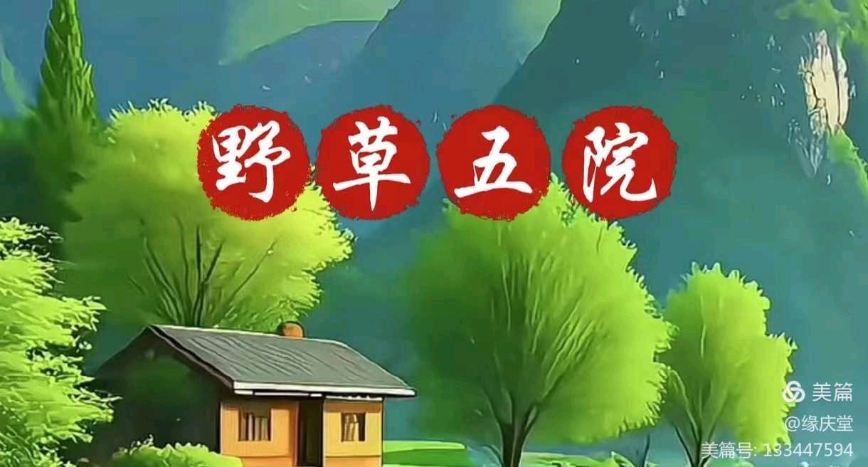中国楹联野草诗社甲辰贺岁专辑(正月十二专辑)(图19)