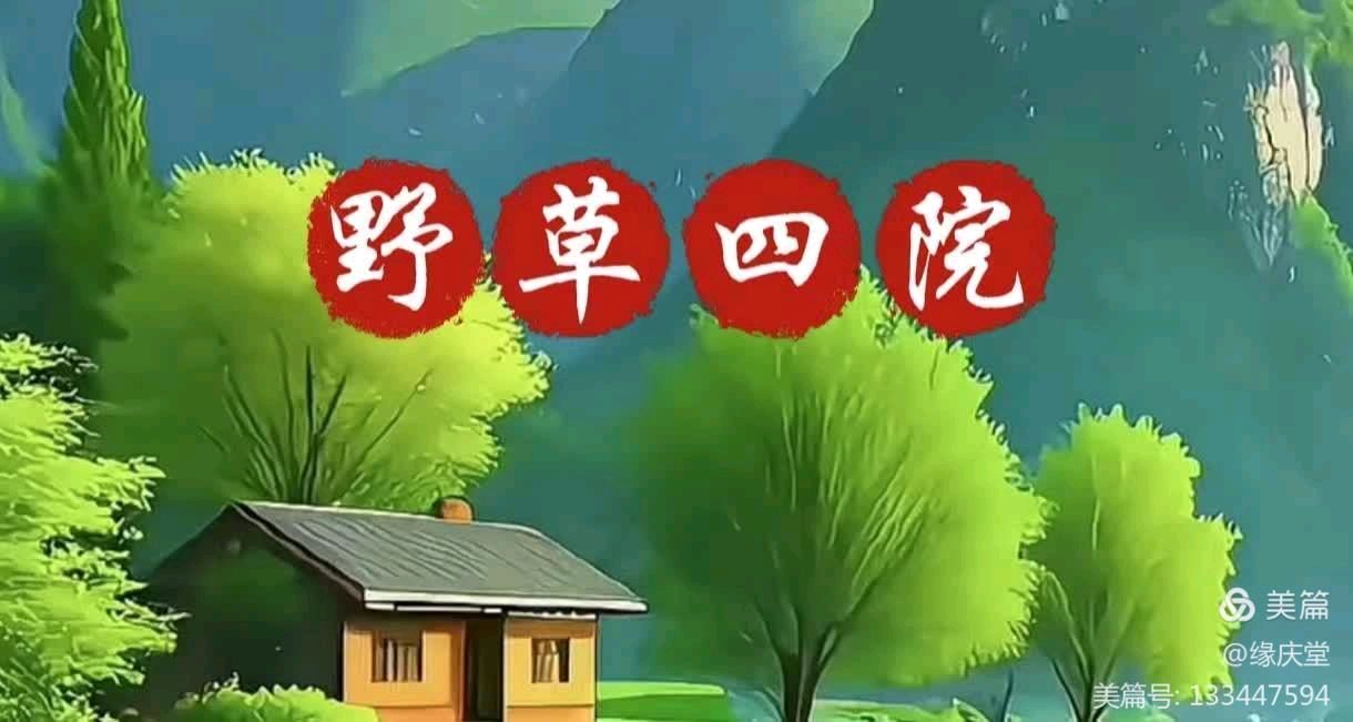 中国楹联野草诗社甲辰贺岁专辑(正月十二专辑)(图18)