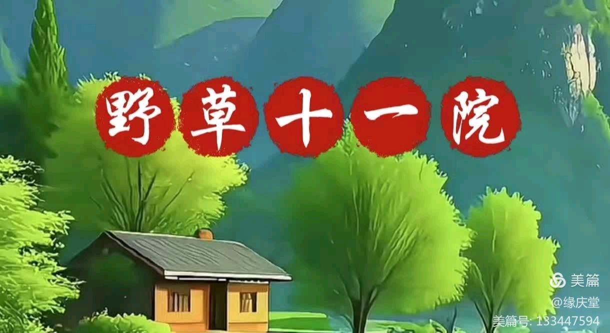 中国楹联野草诗社甲辰贺岁专辑(正月十二专辑)(图23)