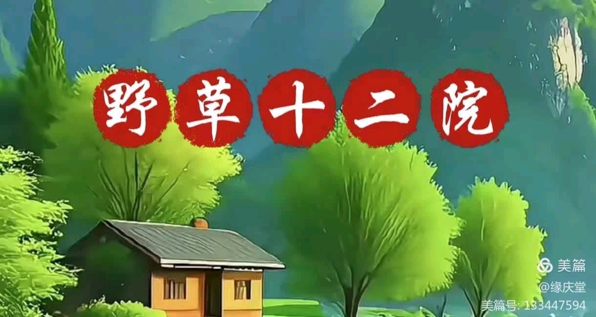 中国楹联野草诗社甲辰贺岁专辑(正月十二专辑)(图24)