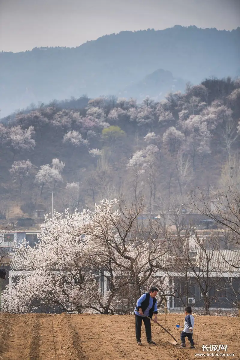 【荣耀中国】雨水节抒怀（通韵）作者/张仁良（图3）