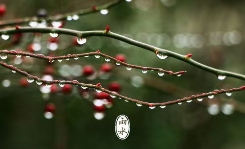 雨水～诗||刘瑞宝（图11）
