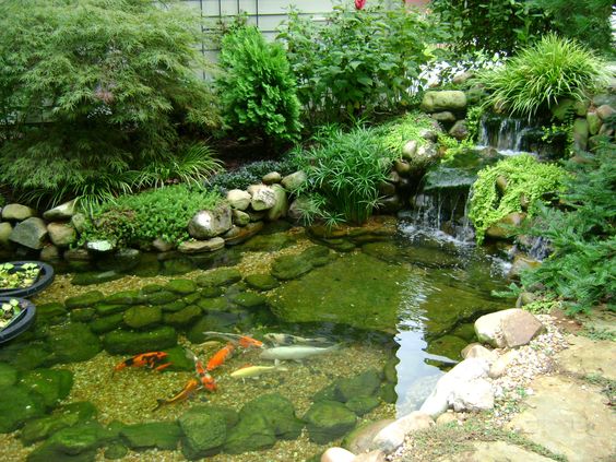 【国风江苏社】七律•雨水吟（孤雁格）作者/周海峰（黑龙江）（图4）